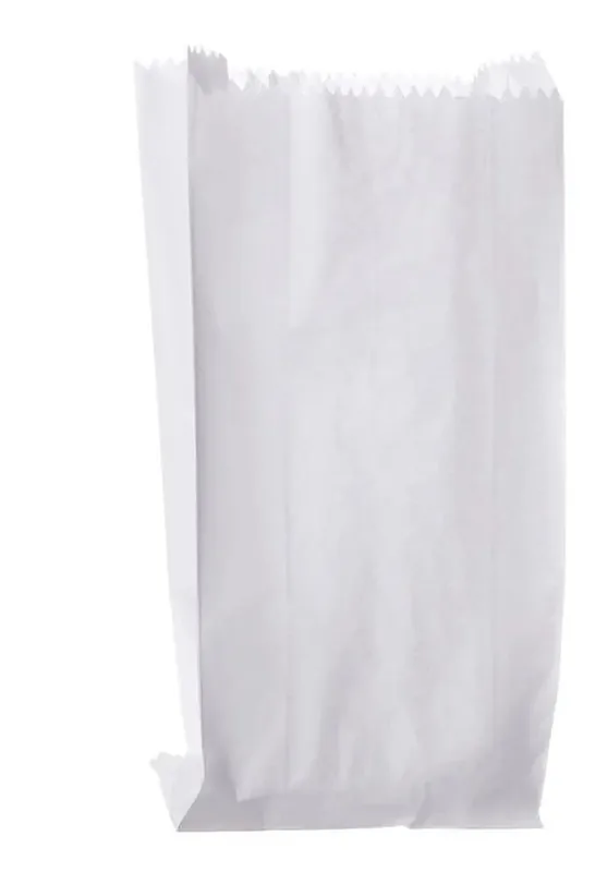 Saco Mono Branco Viagem 03 13,5X31 C/100