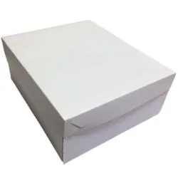 Caixa Papelao Duplex (100X30X20) Un