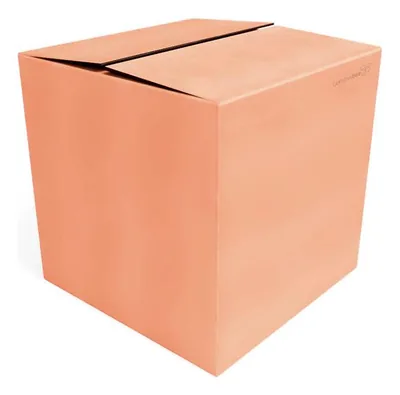 Caixa Papelao Duplex (26X26X28) Un