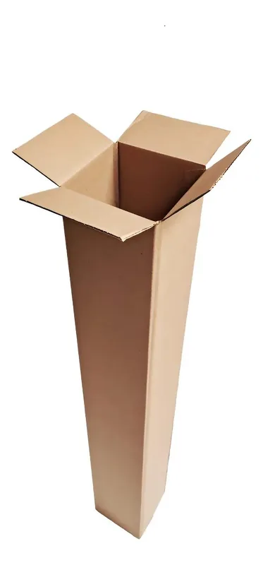 Caixa Papelao (200X30X30) Un